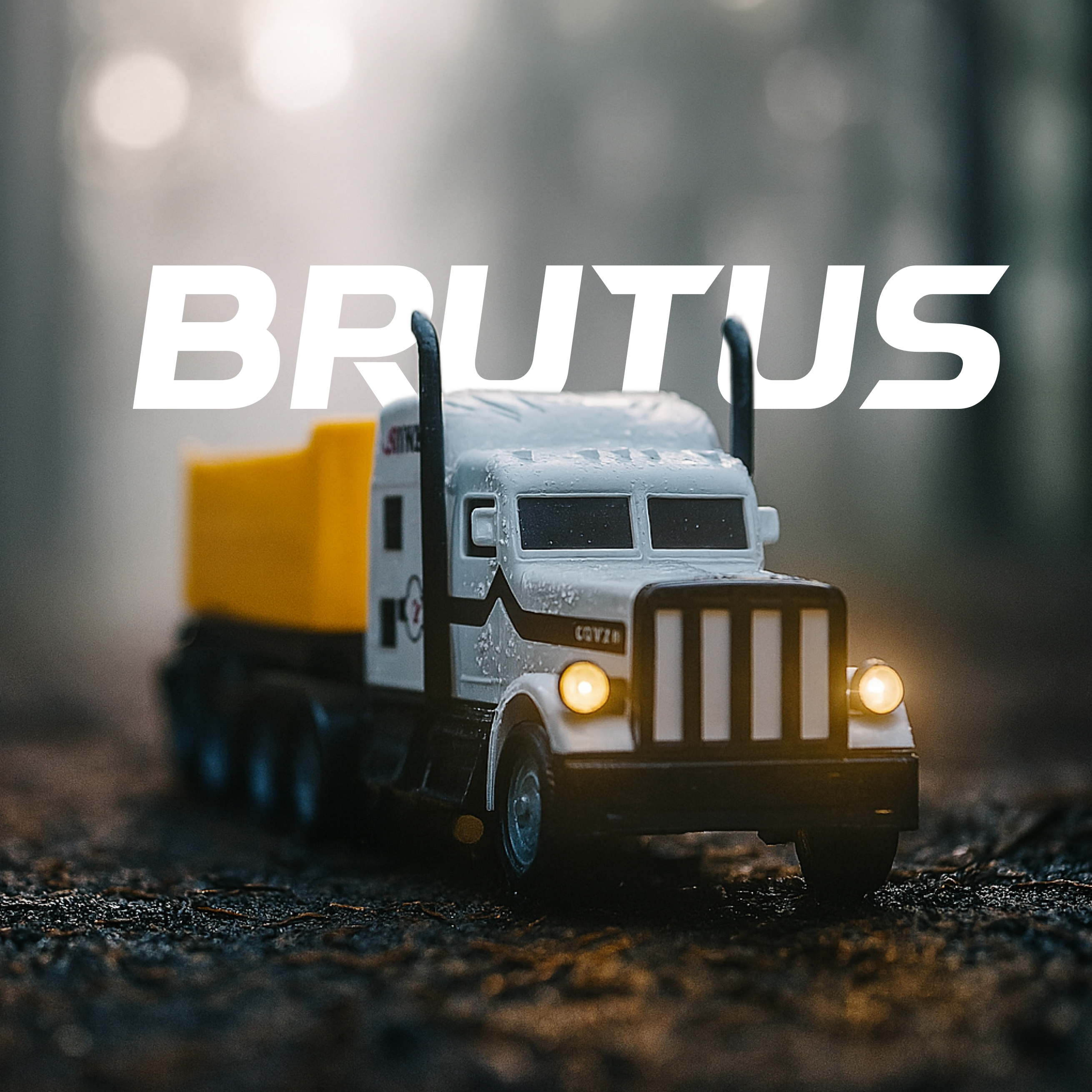 L.O.T Transport "Brutus" – RC Truck with Container – 6x2 Remote Control Truck